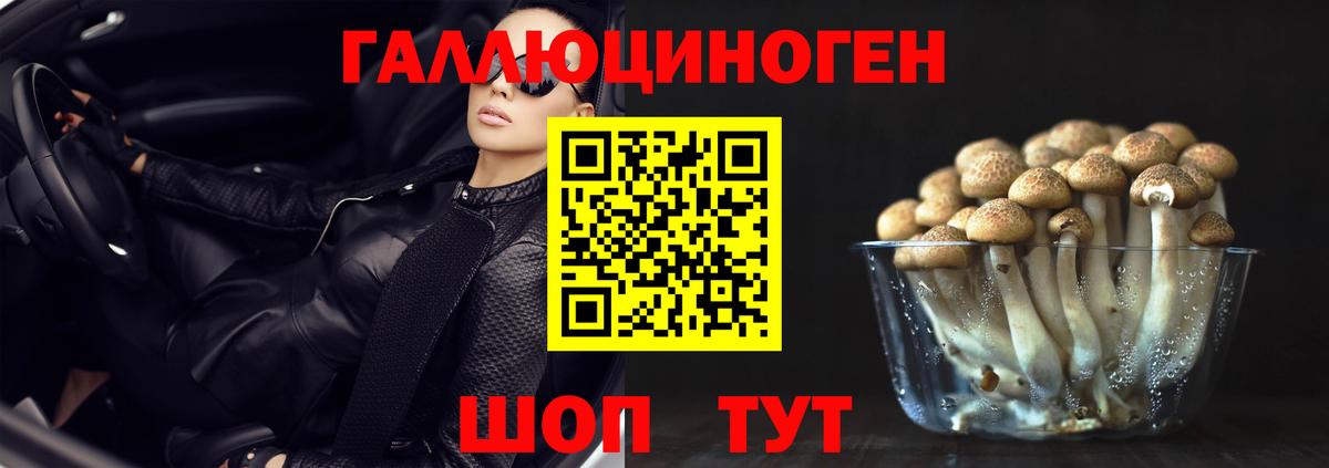 Галлюциногенные грибы прущие грибы Калуга